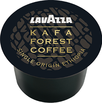 Café Kafa Forest