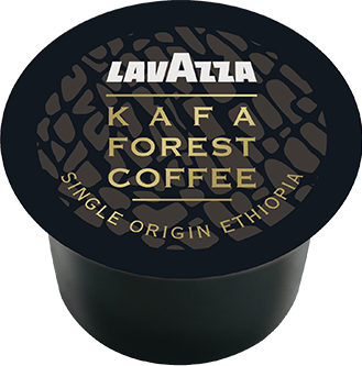 Caffè Kafa Forest
